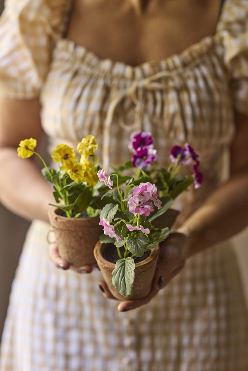 /images/imagebankSeasons/small/Mr Plant SS 2024/1944-99-1 (3).jpg